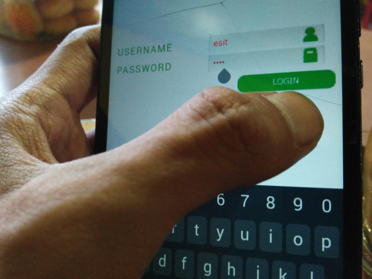 Differences between platforms – WhatsApp Messenger, WhatsApp Business App and Business API